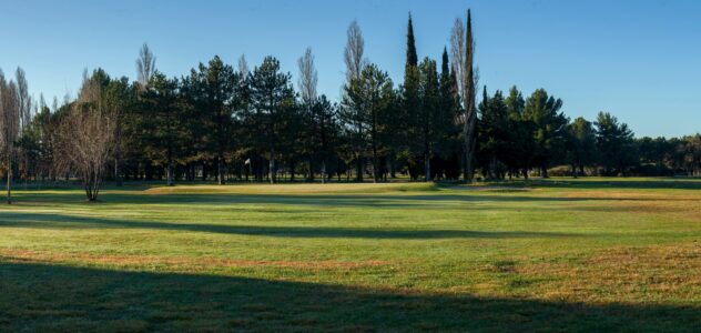 Ringer Score 2025-2026