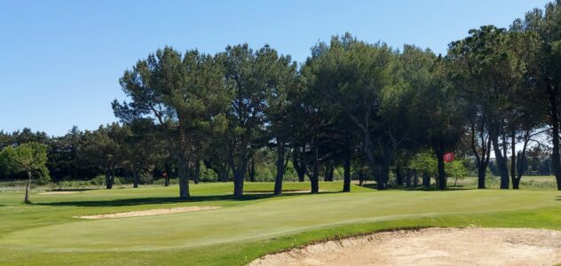 Champions et records