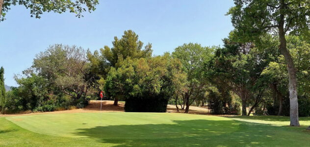 Compétitions FFG et Ligue PACA